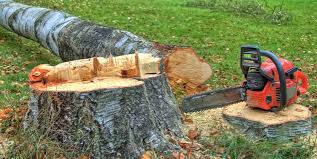 Best Stump Grinding and Removal  in Swoyersville, PA