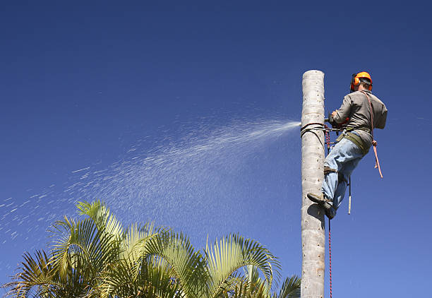 Best Lawn Irrigation Installation and Maintenance  in Swoyersville, PA